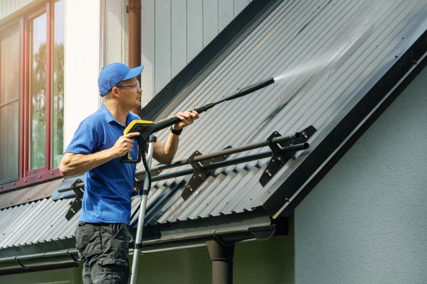 Roof Soft Washing